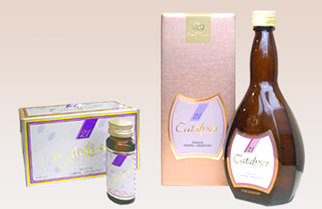 カタライザー21